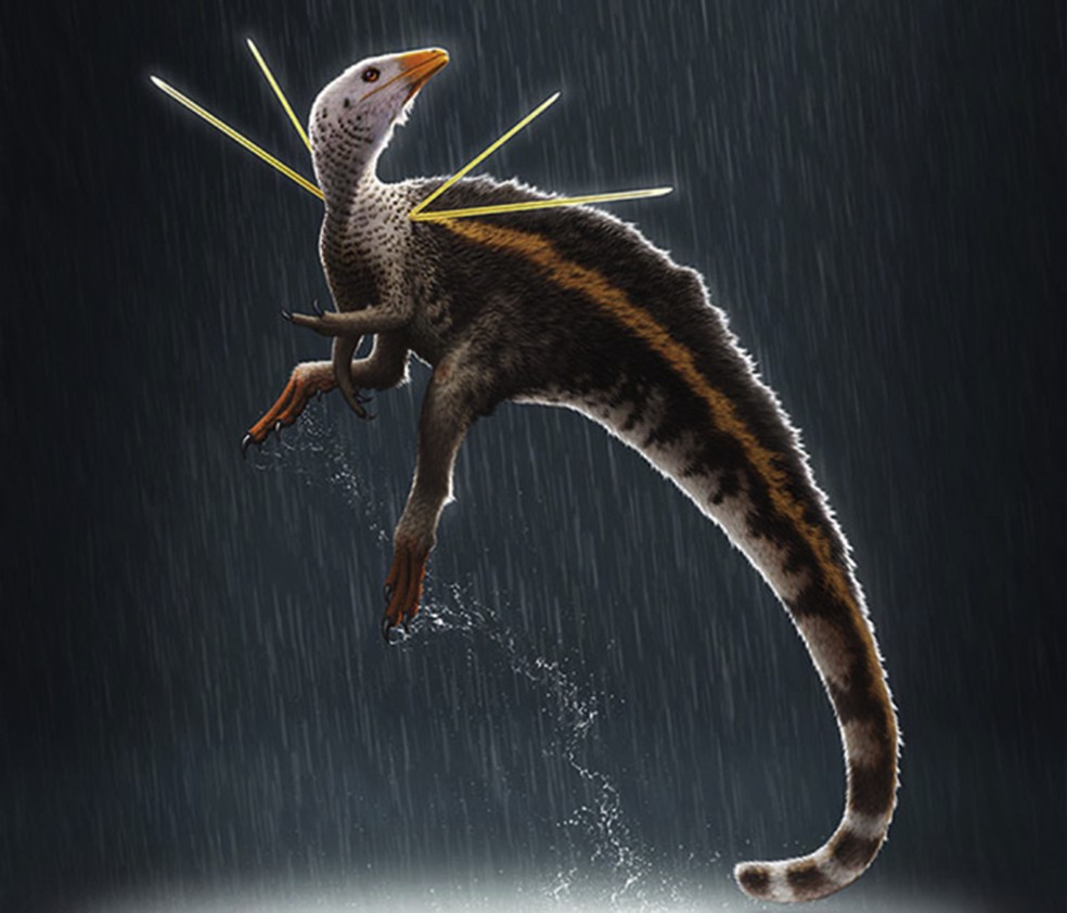 O documento destaca a espécie como um dos dinossauros com aparência mais elaborada já descritos. — Foto: Divulgação