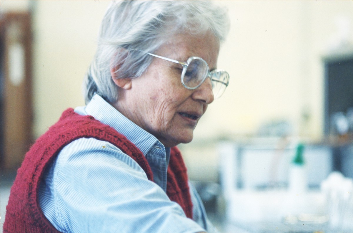 Gente do campo: Johanna Döbereiner  descobriu que plantas podem gerar seu próprio adubo interagindo com bactérias