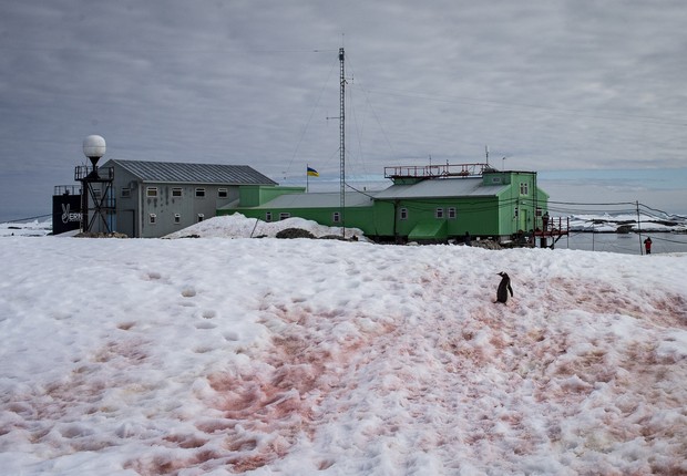 Ucranianos estão presos na estação, na Antártida, sem poder voltar para casa (Foto: . (Photo by Ozge Elif Kizil/Anadolu Agency/Getty Images))