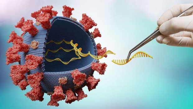 BBC- Vírus que carregam mutações são chamados de variantes (Foto: Getty Images via BBC)