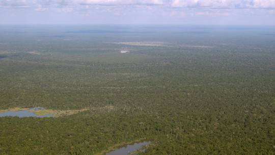 Proteger a Amazônia requer reformulação de modelo econômico