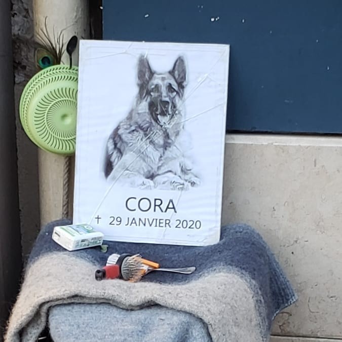 Morador em situação de rua homenageia cachorra que morreu  (Foto: Reprodução/Instagram)