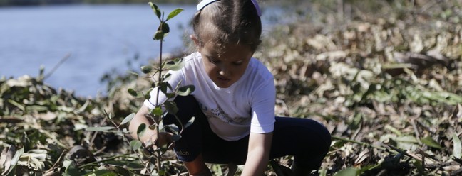 Nina, aos 3 anos, plantando a primeira muda no manguezal da Baía de Guanabara — Foto: Divulgação/Instituto Mar Urbano