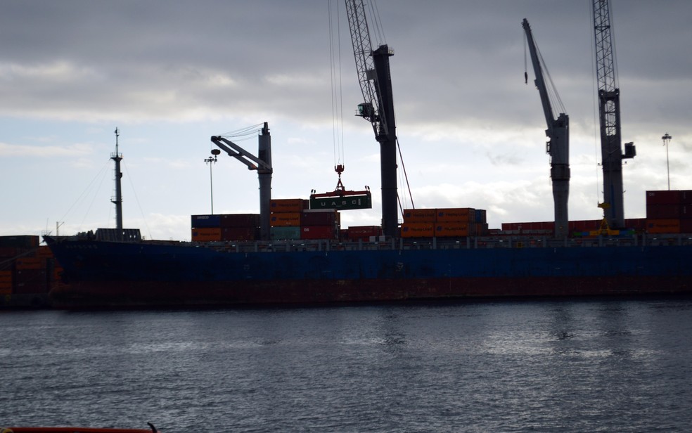 Descarregamento no Porto de Antafogasta (Foto: Anderson Viegas/ G1 MS)