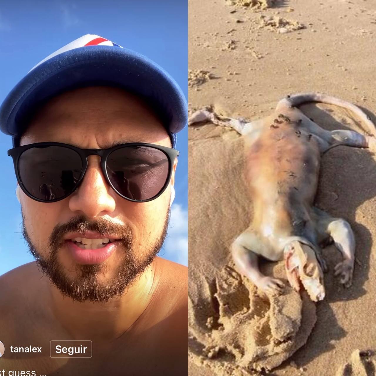 Morador descobre restos mortais de 'criatura misteriosa' em praia da Austrália (Foto: Reprodução / Instagram)