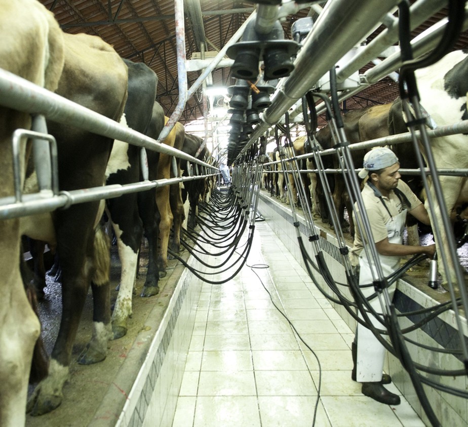 Preço médio do litro de leite nas fazendas ficou em R$ 2,70 em 2022