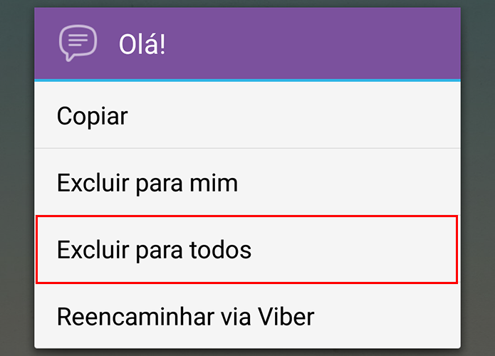 Viber permite excluir mensagens no celular do destinatário (Foto: Reprodução/Paulo Alves)