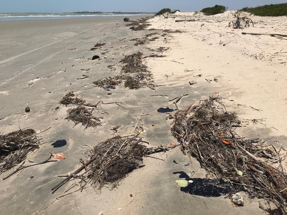 As manchas escuras foram encontradas próximo à área dos bares no litoral do Piauí — Foto: Instituto Tartarugas do Delta