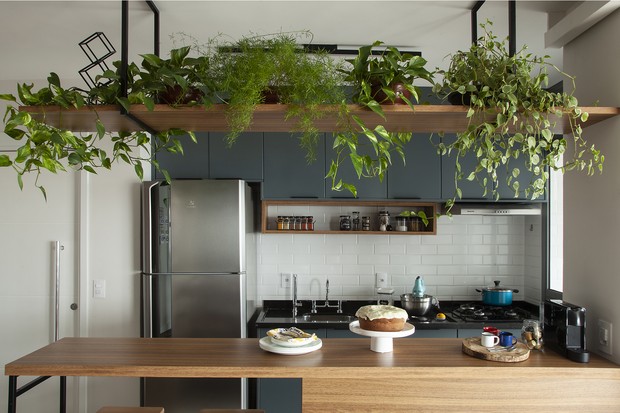 Décor do dia: cozinha com armários coloridos e prateleira de plantas (Foto: Luis Gomes )