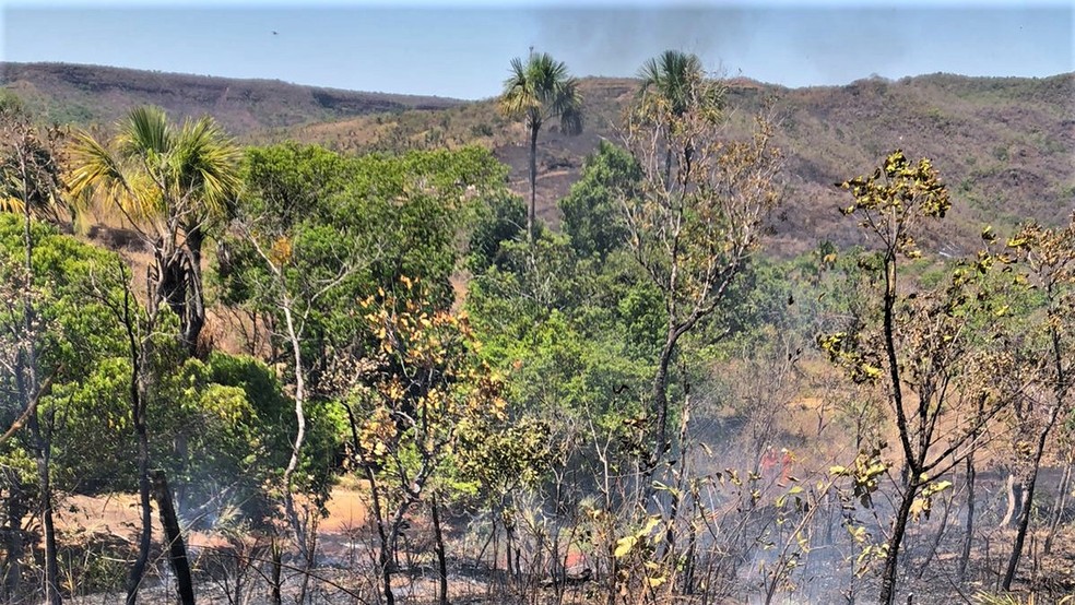 Região da serra perdeu parte da vegetação com no incêndio — Foto: Bombeiros/Divulgação