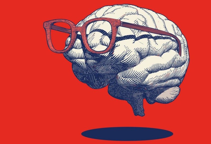 7 mitos e meio sobre o cÃ©rebro derrubados