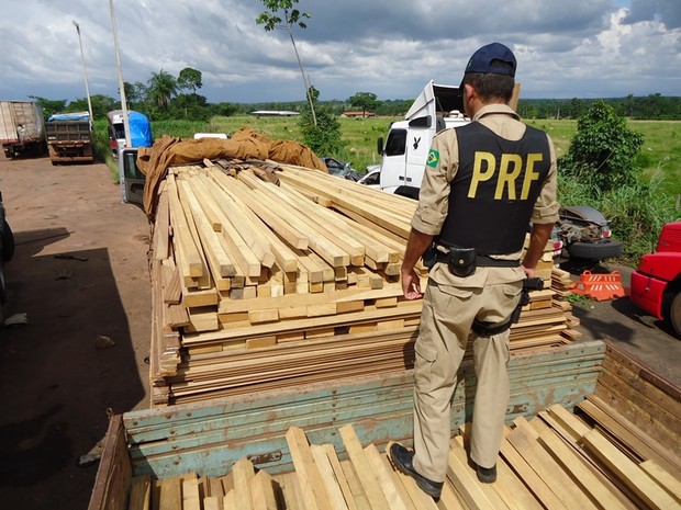 PRF encontra madeira sem documentação na BR-153, em Araguaína (Foto: PRF Tocantins/Divulgação)