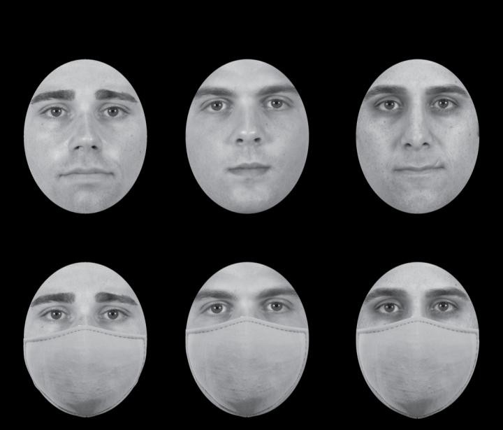 Estudo revela como as máscaras alteram o reconhecimento facial (Foto: Chicago Face Database (Ma et al., 2015))