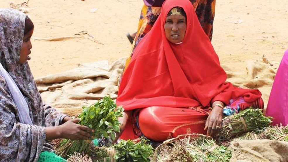 As folhas frescas de khat são populares na Somália — elas possuem um suave efeito estimulante quando mascadas — Foto: AFP