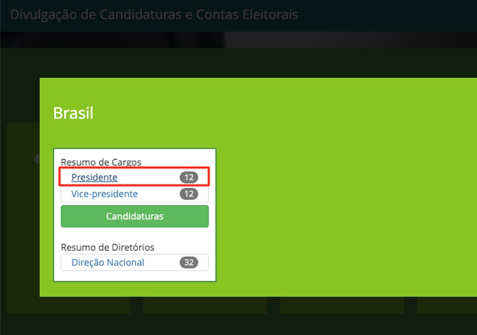 Link para visualização da lista de candidatos a presidente nas Eleições 2022 — Foto: Reprodução/Ana Letícia Loubak