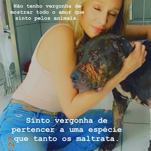 Luisa Mell lamenta rinhas com cães da raça pitbull  (Foto: Reprodução/Instagram)