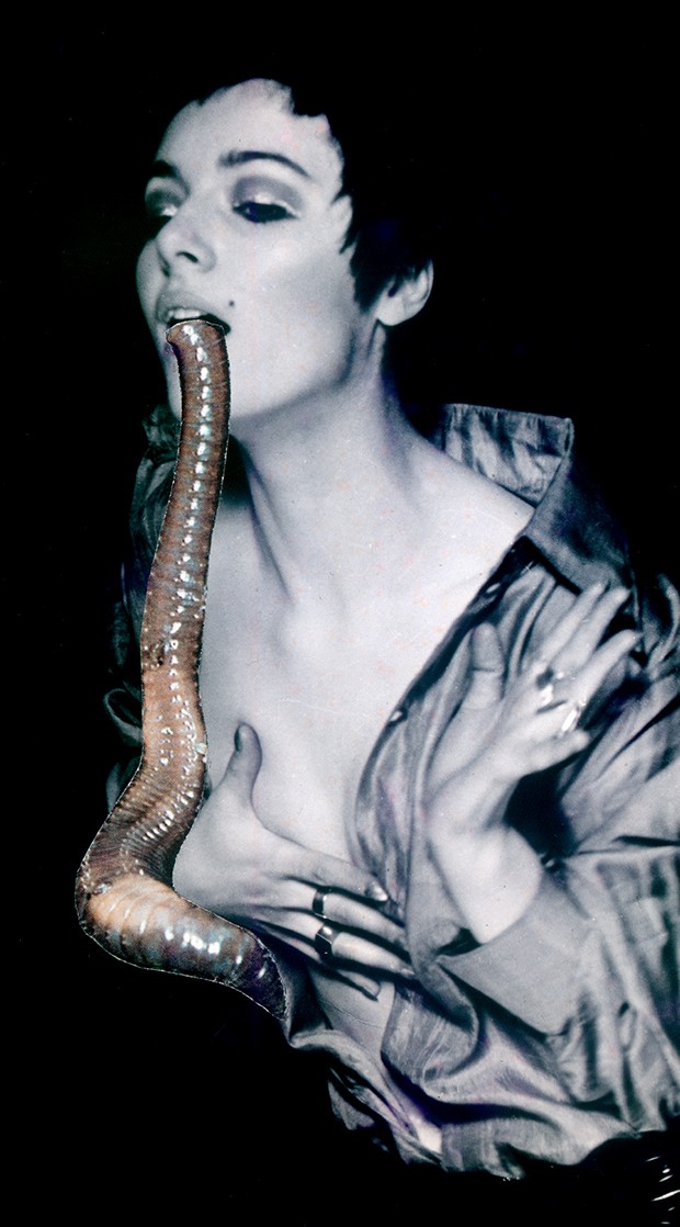 A colagem The Larval Worm (1969) (Foto: Penny Slinger/ Adrian Dirand (divulgação)/ Ines Manai (divulgação) / Getty Images)