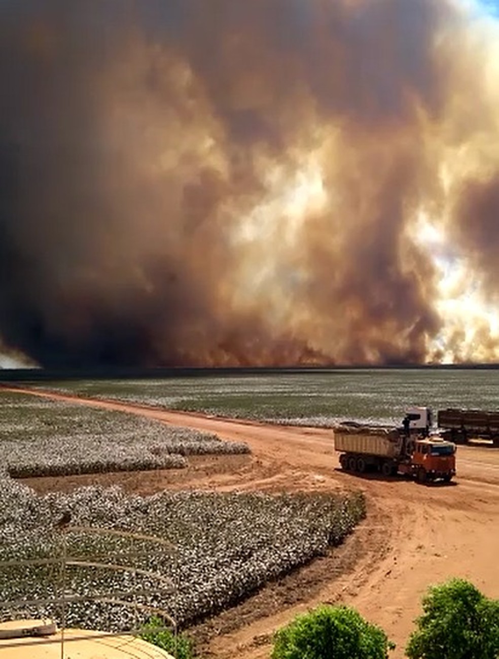 Incêndio atinge lavoura de milho — Foto: Divulgação