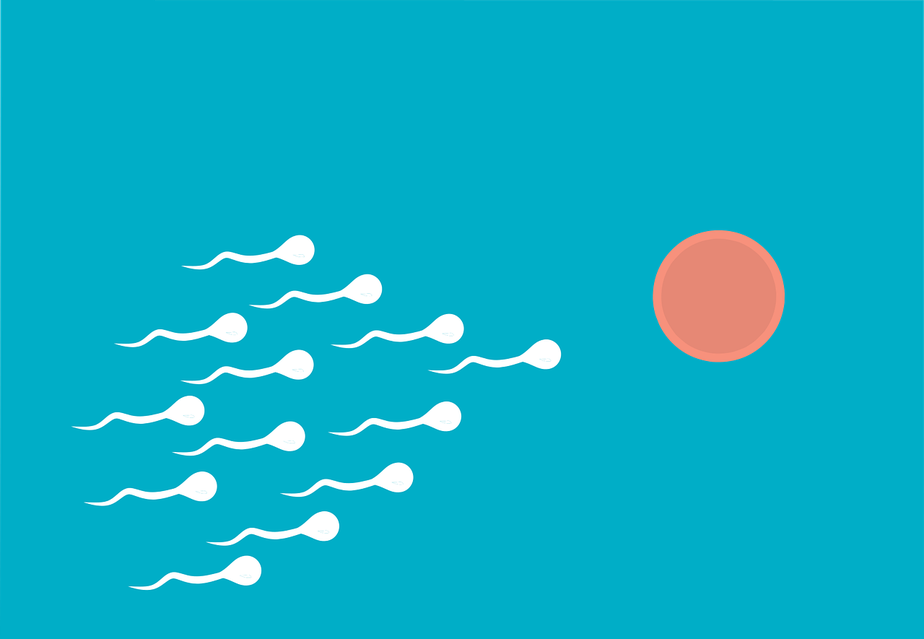 Em 46 anos, contagem de espermatozoides caiu mais de 50% no mundo