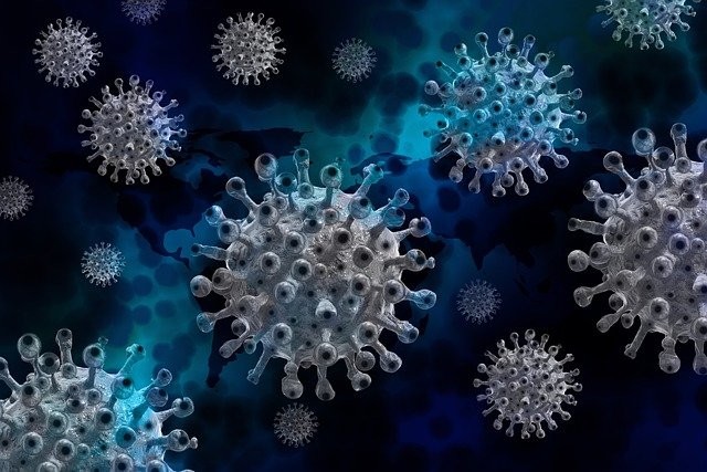 Coronavírus (Foto: Pixabay)