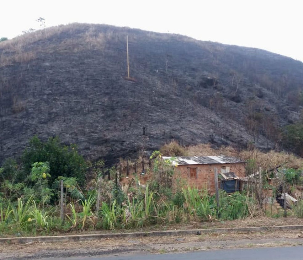 Bombeiros conseguiram apagar as chamas que destruíram parte da vegetação que fica às marges da BR-101, no sul da Bahia — Foto: Divulgação/PRF