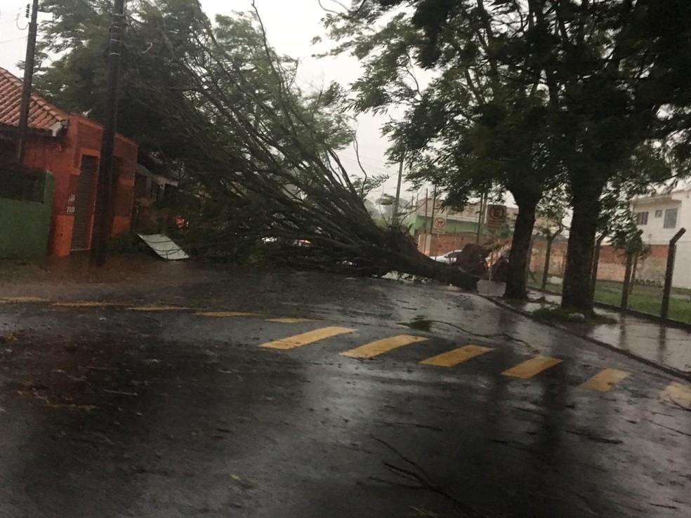 Temporal na região de Marília deixa milhares de moradores sem energia elétrica, Cândido Mota — Foto: Arquivo pessoal