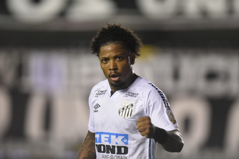 Marinho festeja gol do Santos na Vila Belmiro — Foto: Santos FC / divulgação