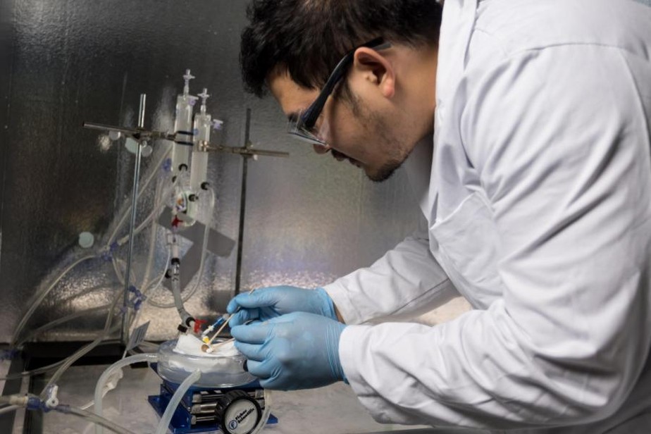 Cientistas realizam 1º transplante bem sucedido de um órgão que havia sido congelado