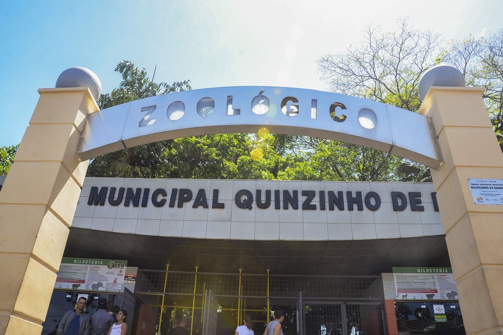Campanha para nomear filhotes de animais do zool&oacute;gico &eacute; promovida em Sorocaba &mdash; Foto: Divulga&ccedil;&atilde;o/Prefeitura de Sorocaba