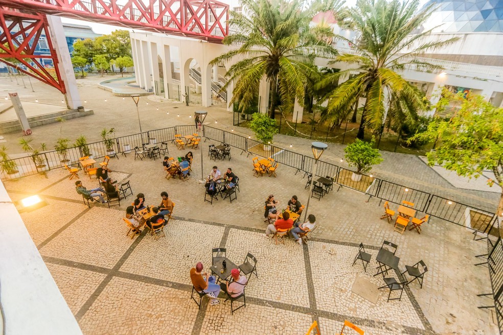 Passaporte vacinal poderá ser utilizado de forma física ou digital para entrada em estabelecimentos. — Foto: Gandaia Club/Reprodução