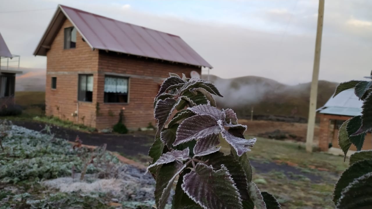 Sexta-feira começa com temperaturas baixas e geada no RS; FOTOS