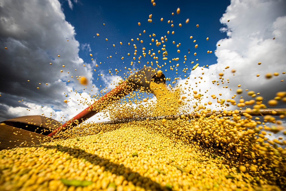 Produção de soja também deve bater recorde, com safra de 131,8 milhões de toneladas. — Foto: Divulgação/Agropecuária