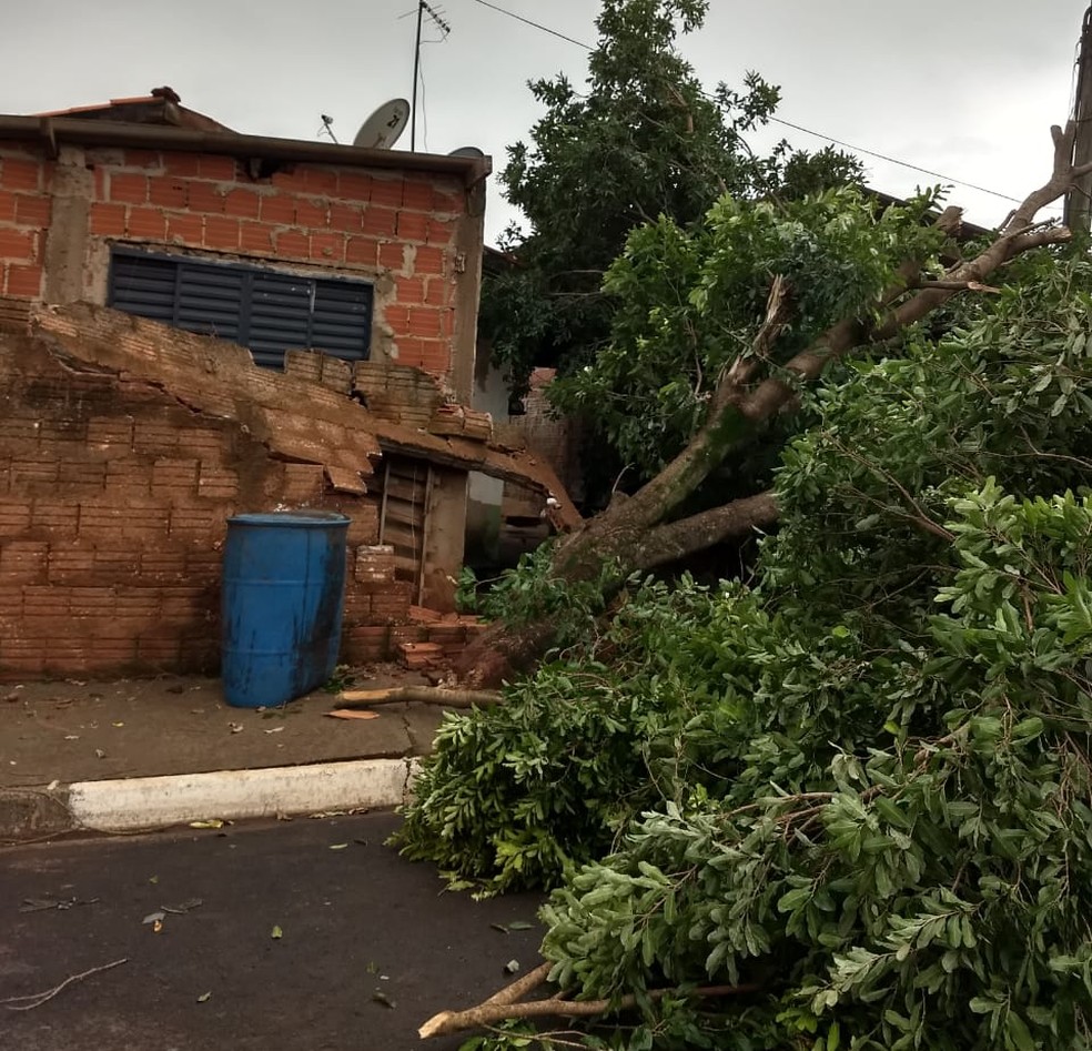 Temporal causou estragos em Narandiba — Foto: Sidmar Santana/Cedida