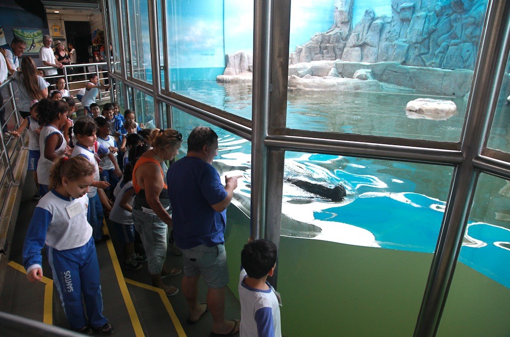 Crianças observam leão-marinho (Foto: Divulgação/ Anderson Bianchi)