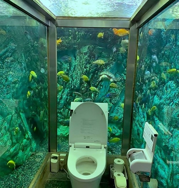 Um mega aquário foi criado em volta do banheiro feminino no Hipopo Papa Cafe, no Japão (Foto: Reprodução / Instagram)