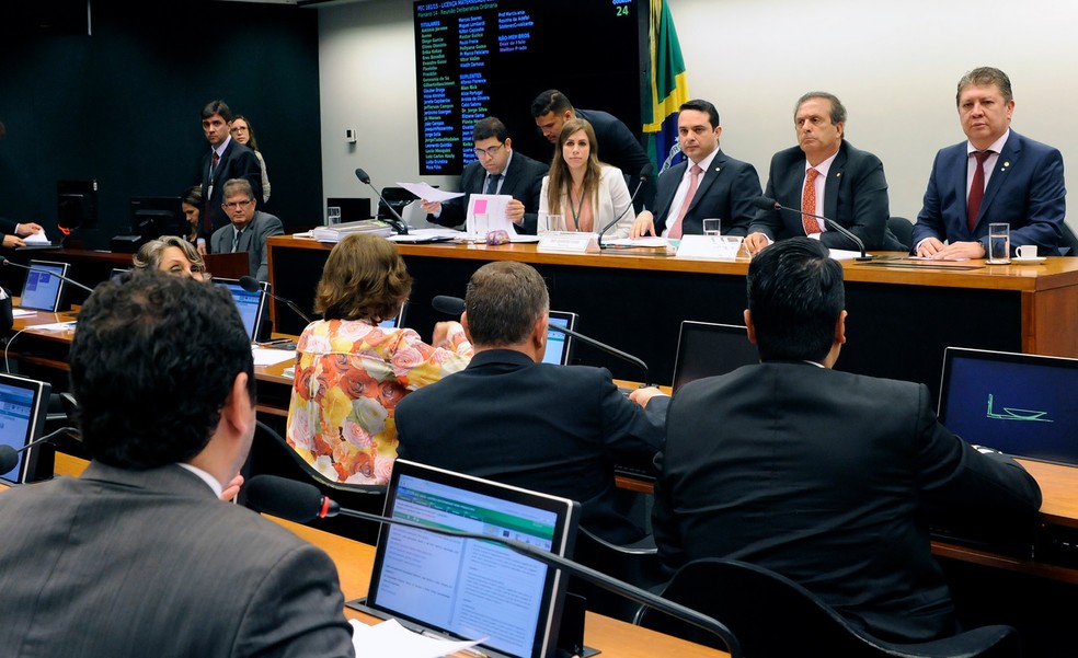 Deputados reunidos no plenário da comissão especial que discutiu o direito à vida 'desde a concepção' (Foto: Luis Macedo/Câmara dos Deputados)
