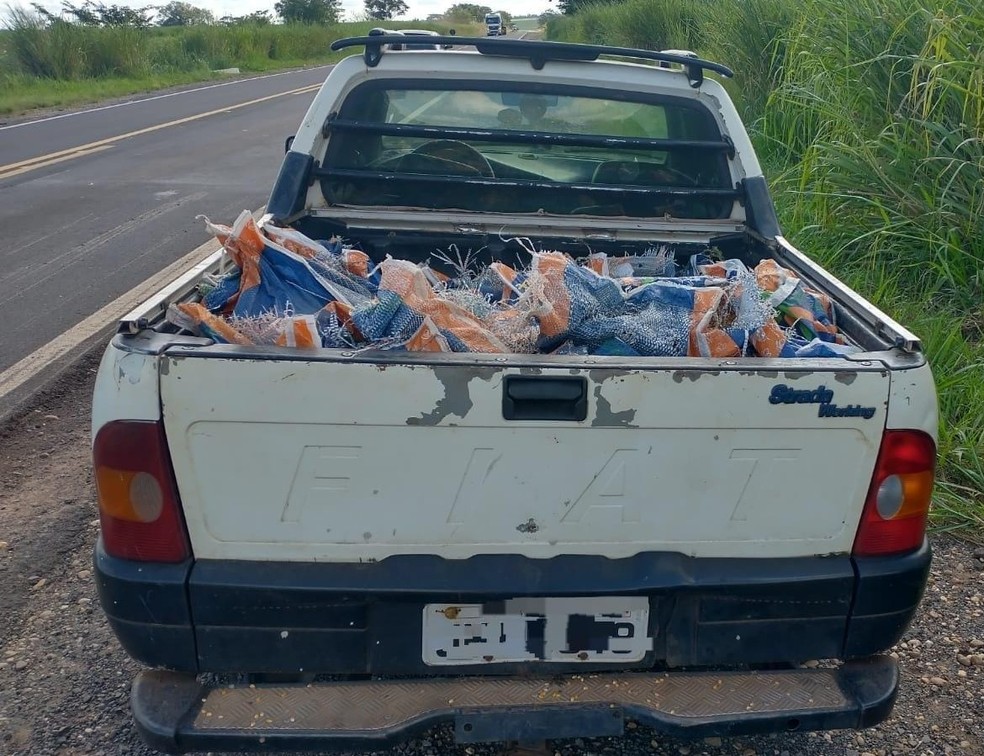 Dois homens foram presos após furtar carga de milho que tombou, em Teodoro Sampaio (SP) — Foto: Polícia Rodoviária 