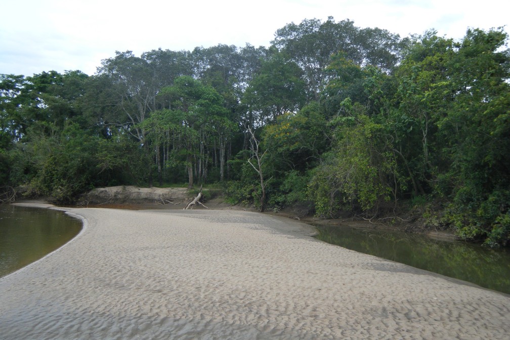 Parque Estadual do Rio do Peixe — Foto: Fundação Florestal
