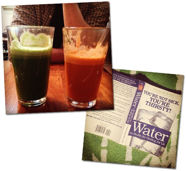 Entre suas leituras: vários títulos sobre os benefícios dos orgânicos e da água (foto acima). E seus smoothies diários  (Foto: Reprodução/Instagram rosiehw)