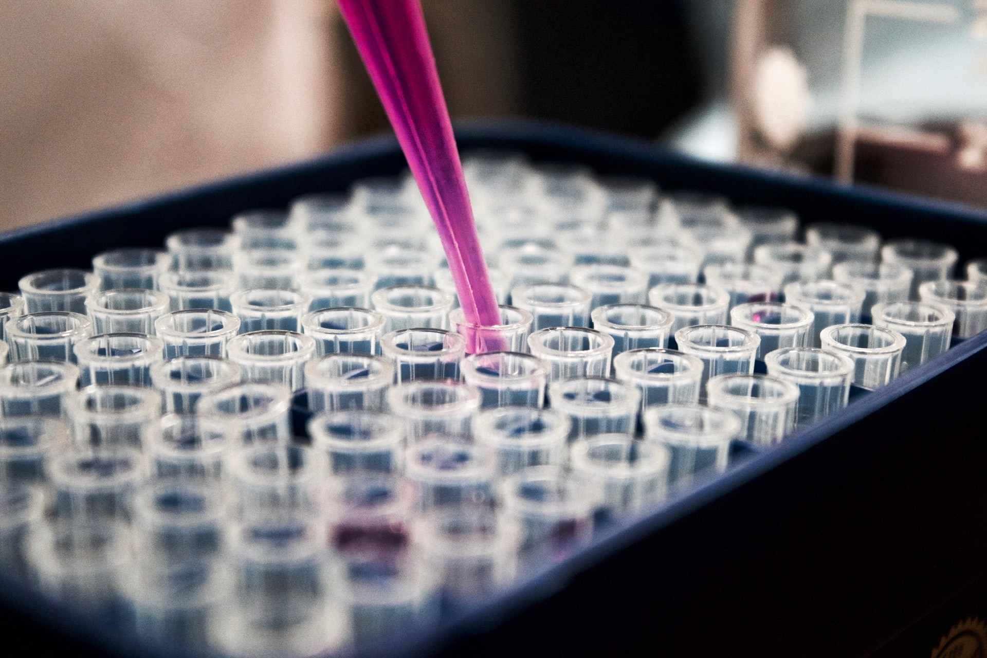 Vacina terapêutica contra câncer do colo do útero tem fase de testes promissora  (Foto: Louis Reed/ Unsplash)