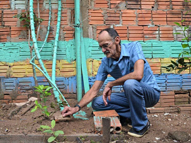 Aposentado disse que plantou pé de mandioca gigante há 11 meses em seu quintal (Foto: Iryá Rodrigues/G1)