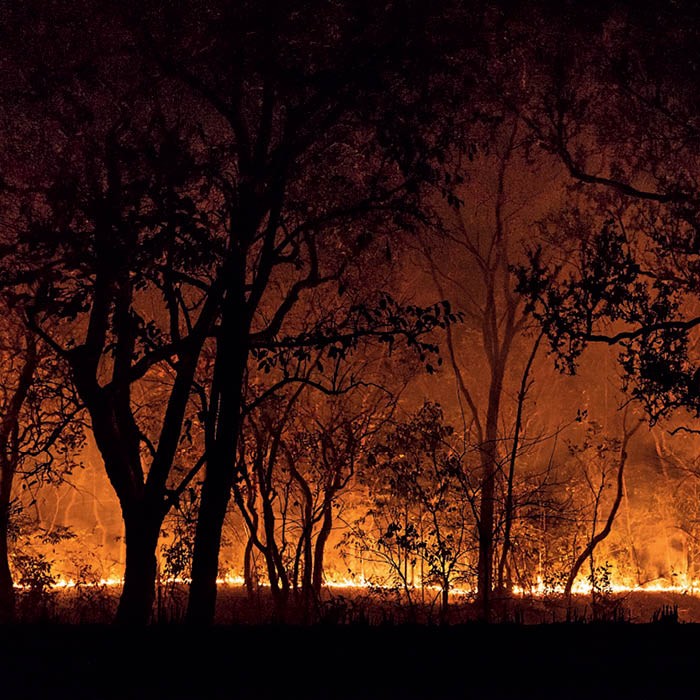 Dentre todos os biomas brasileiros, o Pantanal foi o que mais queimou nos últimos 36 anos: 57% de seu território foi consumido pelo fogo ao menos uma vez no período, segundo o MapBiomas (Foto: Getty Images)