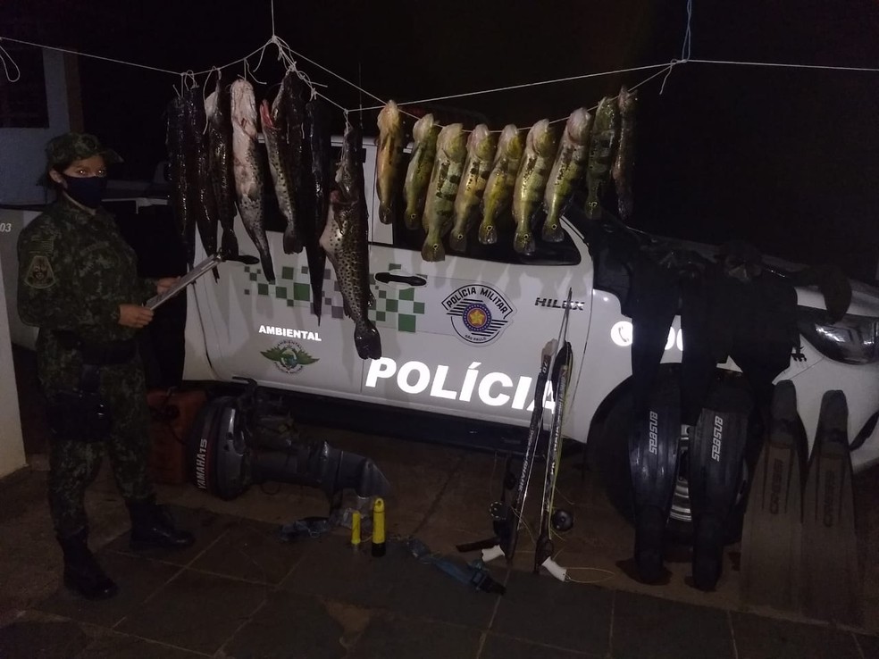 Peixes foram apreendidos e doados para o Núcleo de Apoio aos Pacientes com Câncer de Panorama — Foto: Polícia Ambiental