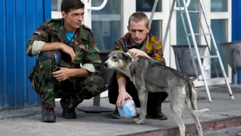 Os guardas da Zona de Exclusão alimentam e cuidam dos cães de rua. Alguns dos guardas afirmam que os animais os alertam sobre invasores (Foto: CHERNOBYL GUARDS/JONATHON TURNBULL)