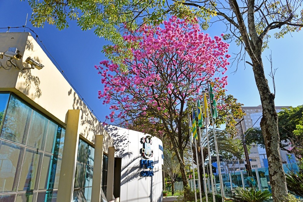 Nota do Enem garante acesso direto à PUC Goiás