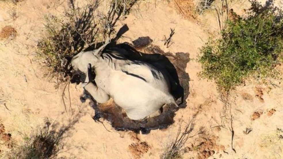 Não há ainda nenhuma conclusão oficial sobre as causas das mortes — Foto: Divulgação/Via BBC