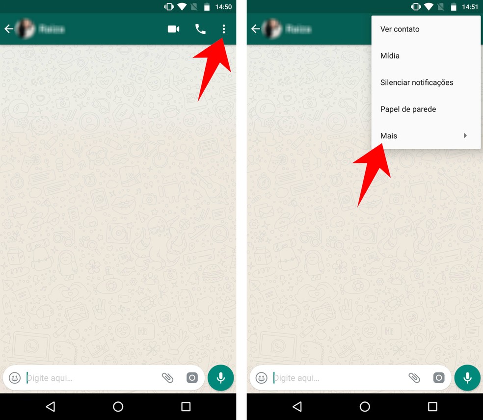 Denunciando um perfil por enviar fake news ou mensagens impróprias no WhatsApp — Foto: Reprodução/Rodrigo Fernandes