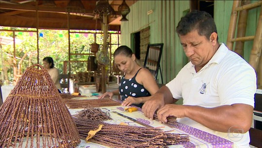 EUA voltam a prometer fundo de US$ 100 milhões para a Amazônia