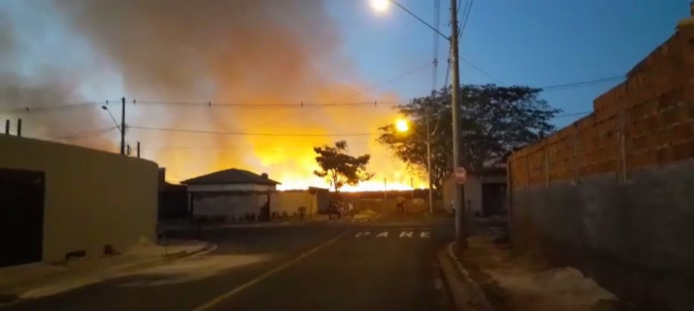 Inc&ecirc;ndio atinge planta&ccedil;&atilde;o de milho em Rio Preto &mdash; Foto: Arquivo Pessoal 