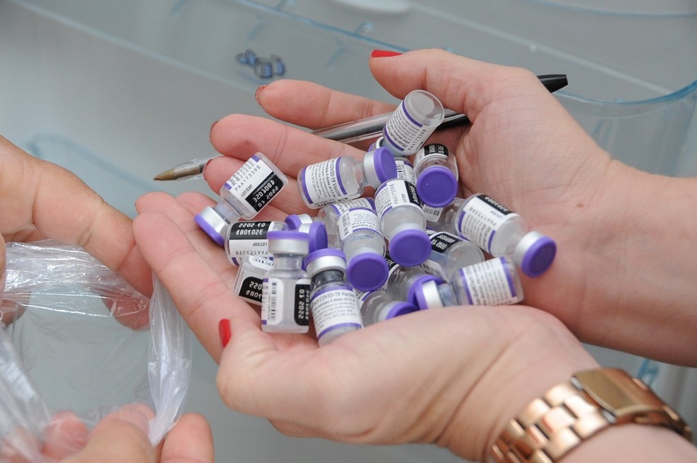 Vacinas da Pfizer contra a Covid-19 — Foto: Francisca Coelho/MPTO